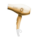 Voduz Gold Hairdryer