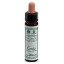 Ainsworth Cerato 10ml
